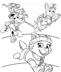 coloriage Pat Patrouille a colorier en ligne