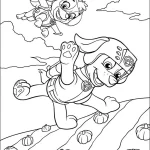 a imprimer coloriage Pat Patrouille gratuit