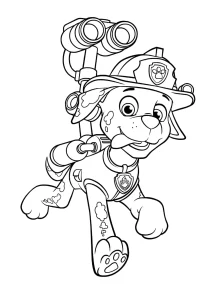 coloriage Pat Patrouille pour enfant de 10 ans