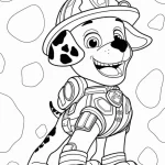 coloriage Pat Patrouille d