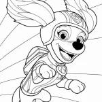 coloriage Pat Patrouille et decoupage a imprimer gratuit