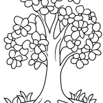 coloriage Arbre à imprimer pdf