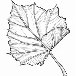 coloriage Automne a imprimer