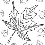 coloriage Automne et dessins