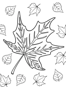 coloriage Automne et dessins