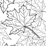 coloriage Automne et dessin a imprimer