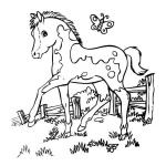 a imprimer coloriage Chevaux gratuit