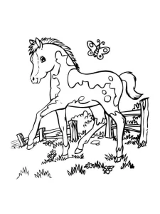 a imprimer coloriage Chevaux gratuit