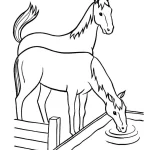 coloriage Chevaux à imprimer