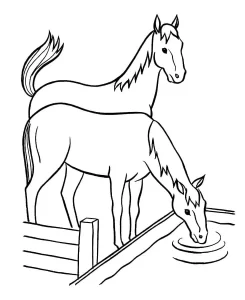 coloriage Chevaux à imprimer