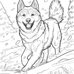 coloriage Chien pour primaire