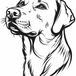 coloriage Chien gratuit a imprimer