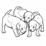 coloriage Chien à imprimer pour enfant de 12 ans