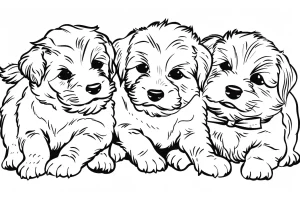 coloriage Chien gratuit à imprimer