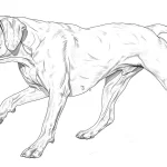 imprimer coloriage Chien pour enfant