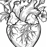 coloriage Coeur educatif pour enfant