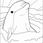 coloriage Dauphin pour enfant de 4 ans