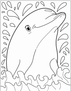 coloriage Dauphin et apprentissage