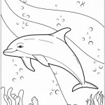coloriage Dauphin pour primaire