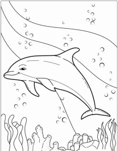 coloriage Dauphin pour primaire