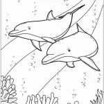 coloriage Dauphin a dessiner et imprimer