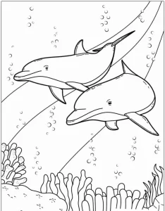coloriage Dauphin a dessiner et imprimer