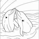 image de coloriage Dauphin pour enfant