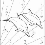 coloriage Dauphin pour enfants à imprimer