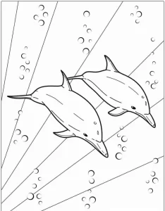 coloriage Dauphin pour enfants à imprimer