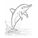 coloriage Dauphin et dessin a imprimer
