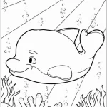 coloriage Dauphin pour enfant de 5 ans