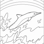 coloriage Dauphin à imprimer pour enfant de 12 ans