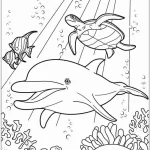 coloriage Dauphin gratuit à imprimer
