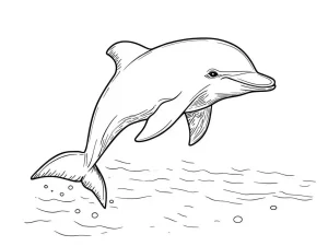 coloriage Dauphin pour enfants à imprimer