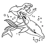 coloriage Dauphin à imprimer