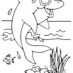 coloriage Dauphin a imprimer gratuit