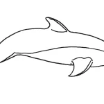 coloriage Dauphin pour enfants à télécharger
