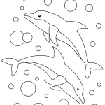 coloriage Dauphin et dessins