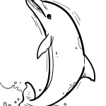 coloriage Dauphin a imprimer gratuit