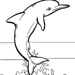 coloriage Dauphin pour enfant à imprimer