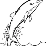 coloriage Dauphin à imprimer a4