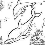 coloriage Dauphin educatif pour enfant