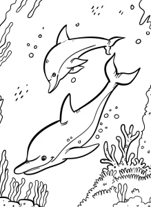 coloriage Dauphin educatif pour enfant