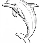 coloriage Dauphin à imprimer pour enfant de 8 ans