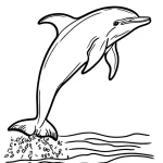 coloriage Dauphin educatif pour enfant