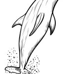 coloriage Dauphin gratuit a imprimer