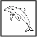 coloriage Dauphin a dessiner et imprimer