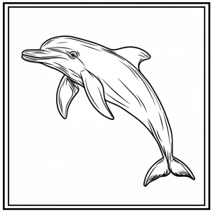 coloriage Dauphin a dessiner et imprimer