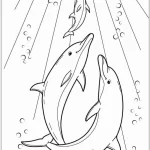 coloriage Dauphin et découpage à imprimer