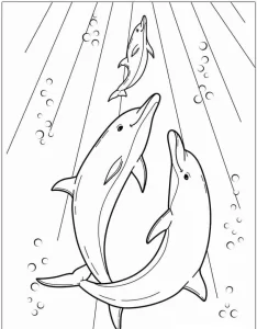 coloriage Dauphin et découpage à imprimer